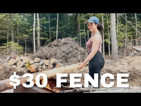 I BUILT A FENCE FOR $30 - for our homestead in the woods (log debarking)