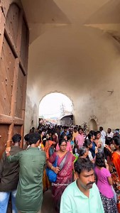 1kg @₹499 . . Complete Details Mentioned in this Video Exact Location📍 Ravi Mini Hall, Near Kalaingar Arivalayam, Chathram Bus Stand, Trichy. For More Follow @dayjourney__ ( Trichy Dress, Pongal Collection, Pongal Festival, Pongal Dress, Offer, Dresses ) #trichy #trichydress #pongal #trichytrends #budget | Dominic Savio