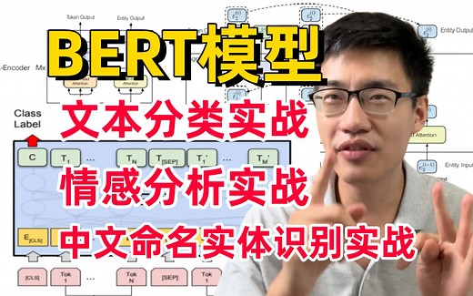 【BERT模型实战教程全集】不愧是全B站公认最好的BERT系列教程了！AI博士手把手带你从原理入门到实战！文本分类、情感分析及中文命名实体识别实战教程全吃透！