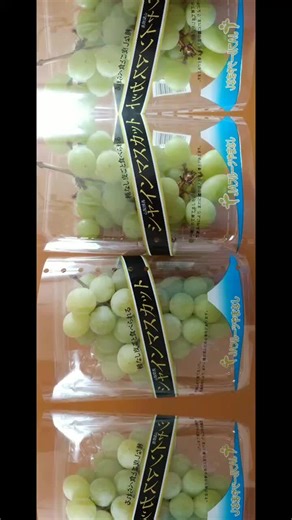 Srp25 Thursday is Shine Muscat and Green Day.