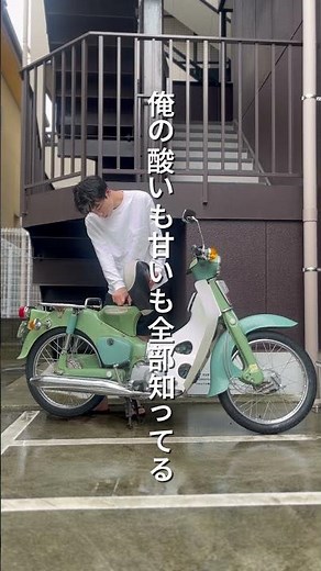 カブがあればなんとかなる #スーパーカブ #スーパーカブツーリング #クラシックバイク #バイク旅 #oldcars