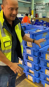 Introducing our fantastic Innovation and Technical Manager Erik Poole! We called on Erik this morning to explain SFM's traceability system to you all. | Sydney Fish Market