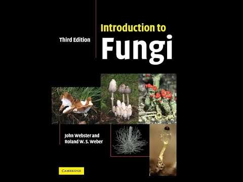 Plectomycetes | Chapter 11 - Introduction to Fungi