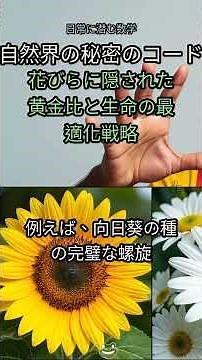 11. 花びらの数、本当に偶然？🤯 自然界を支配する「秘密の数学」を徹底解明！【衝撃の真実】 #フィボナッチ数列 #黄金比 #自然の秘密 #数学 #ドキュメンタリー #植物 #デザイン #生
