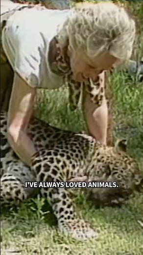 1985: Meet the Big Cats at Tippi Hedren's Sanctuary