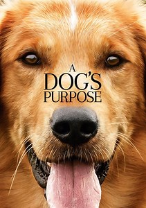 A Dog's Purpose Movie (2017), Watch Movie Online on TVOnic