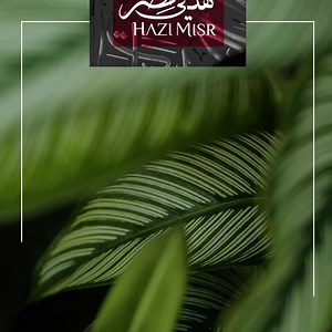 14 reactions · 5 comments | We are pleased to announce IGI Developments’s participation in the largest Egyptian real estate exhibition of its kind, “Hazi Misr” during its 24th session in Dubai, during the period from February 16 to 18 Feb Location: Le Méridien Dubai Hotel & Conference Centre, Booth A10 | IGI Developments | Facebook