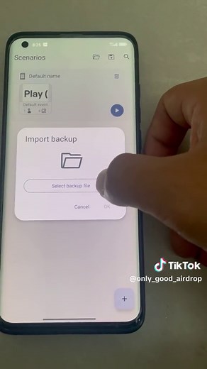How to Install Backup File for Auto Blum
