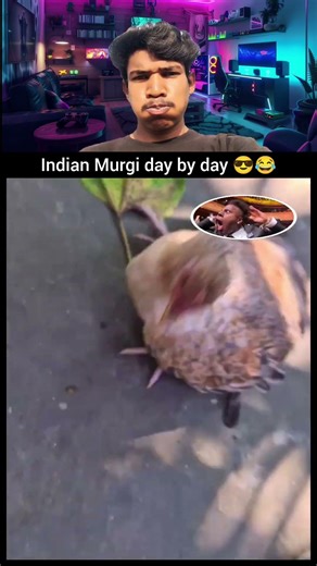 Indian Murgi day by day 😅