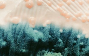 How To Clean A Tent With Mold And Mildew In 4 Simple Steps