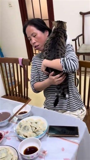 Title: Winning Through Competition: The Tabby Cat's Struggle
