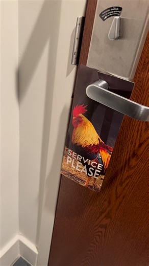 KC Jones on Instagram: "Sweet dogs"