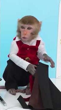 Monkey Baby Shark | Nursery Rhymes & Kids Songs |Bobby Kids Songs