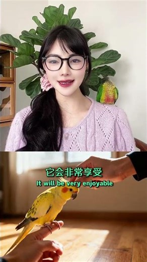 Unleash Your Parrot's Potential: 3 Touches, 3 Don'ts - Must-Read Parrot Care Tips