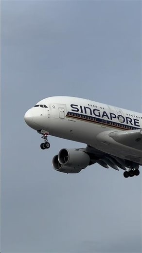 🇸🇬 Singapore Airlines Airbus A380 landing at London Heathrow ✈️ #airbus #aviation #planespotting