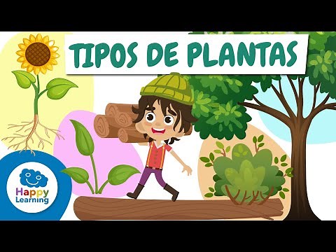 🌱🌸 TYPES OF PLANTS: How Many Do You Know? | Educational Videos for Kids | @HappyLearningES
