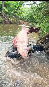 Full Body into Beaver Den to Catch Big Catfish! #noodling #flathead #fishing #fishinglife #family #outdoorboys #outdoors #catfish #catfishing #fish #adrenalinerushadventures #AdrenalineRush #usa #merica #america #fyp #trending #viral | Nathan Wayne Williams