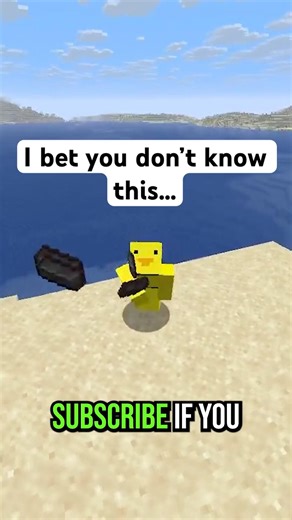 99% of Minecraft Players Don’t Know This…
