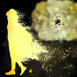 350K views · 81 reactions | The magic has arrived! The Music of Harry Potter and the Cursed Child, written, composed and performed by Grammy & Ivor Novello Award winner Imogen Heap, will transport you on a musical journey through Cursed Child. Listen to the album now… | Harry Potter and the Cursed Child | Facebook