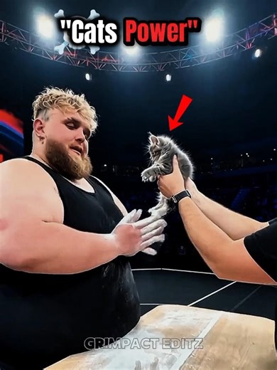 Defining Cats Power☠️ #cats #trollfaceedit #sigma