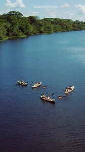 92 reactions | Discover the world's largest rainforest aboard Aqua Nera.  Encounters with exotic wildlife in the Peruvian Amazon  Unparalleled 1:1 crew-to-guest ratio  Sleek and contemporary design suites  World-class dining | Aqua Expeditions | Facebook