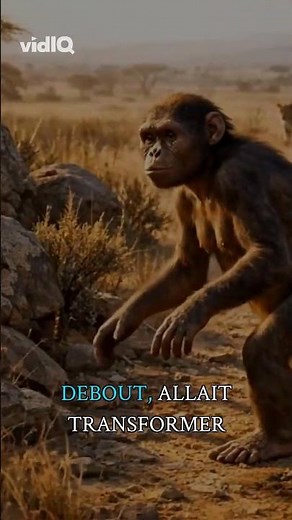 The first steps that created modern humanity #lucy #fossil #evolution
