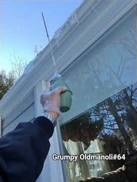 Pest Control Service Feb 2026