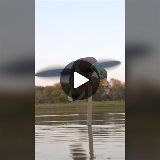 What’s your favorite MOJO decoy? The newly re-designed MOJO Mallard is at the top of our list! #MOJOTV #MOJOOutdoors #MOJOWaterfowl