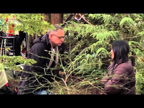 Julia Jones & Booboo Stewart Junket Interview: Breaking Dawn Part 1