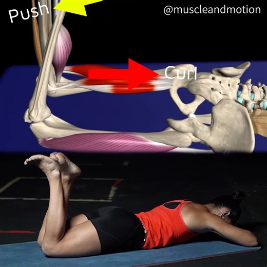 33K views · 923 reactions | Introducing the Self Resistance Leg Curl!...