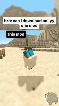 CAN I DOWNLOAD JUST ONE MOD ? - MINECRAFT 🤣🤣🤣