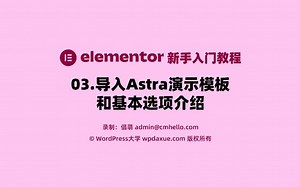 Elementor入门教程-03.导入Astra演示模板和基本选项介绍