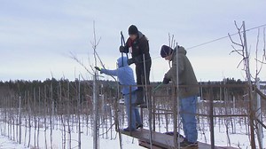 Bigger fines for violations under foreign worker program