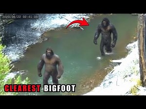 30 SHOCKING Bigfoot Encounters Caught on Camera