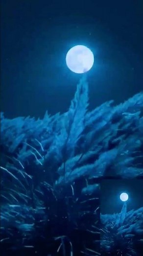 🌙 Al-Quran with English Translation ✨ | Heart Touching Recitation 💖