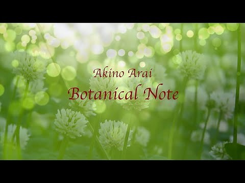 新居昭乃 ニューアルバム「Botanical Note」teaser