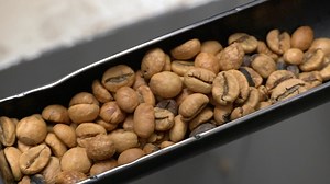 160K views · 1.7K reactions | Indonesia's coffee brand Kapal Api traveled from Indonesia to China to attend the 3rd #CICPE. At the expo, its coffee has been popular with Chinese consumers. The Chinese market has unlimited potential, said Robin Setyono, Chief Operating Officer of Kapal Api Global. #GLOBALink | China Xinhua News | Facebook