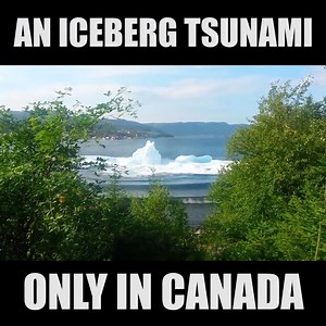 824K views · 3.9K reactions |  | Daily Hive | Facebook