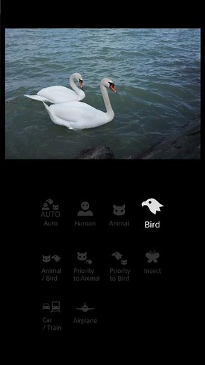 Introducing RX1R III | Features | Sony | RX