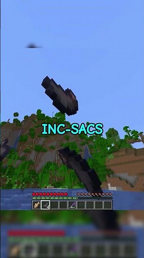 I don't know this about Fishing in Minecraft