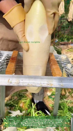 Traditionelle Lebensmittelkonservierung auf dem Yunnan-Plateau