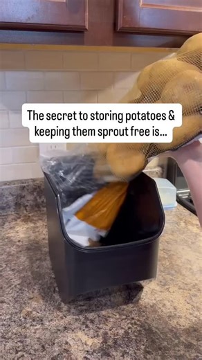 Home Organize Ways on Instagram: "Tupperware Access Mates 3qt / 3L Onion Garlic Potato Dry Goods Supplies Smart Clear Container Keeper Plum Seal 🏡 Shop the product, Link in Bio!🔗 ➡️ go to the "Amazon Page" search & get your product! 🛒 ⚠️ Please Contact Us Via DM 📩 For Credit or Removal. ©All Rights and Credits Reserved To The Respective Owner(s) #amazonfinds #amazonusa #amazonmusthaves"