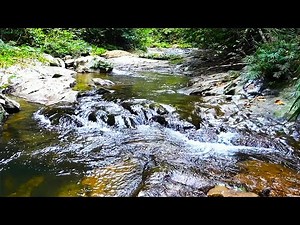 MUSIK INSTRUMEN SUARA ALAM UNTUK RELAKSASI, FOKUS BELAJAR, BEKERJA, BERSANTAI, MUSIK UNTUK TIDUR