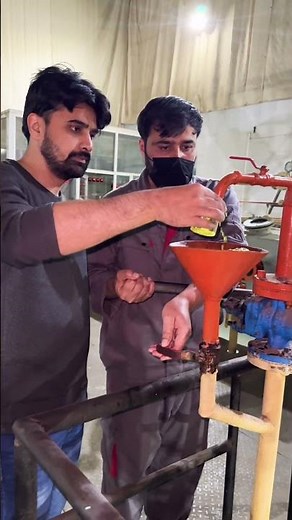 Flax Seed Oil – Solvent Extraction Process.#flaxseed #viral