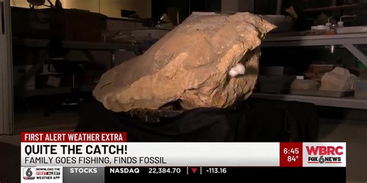 Quite the catch! Family goes fishing, finds fossil