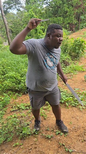 Alex Campbell on Reels