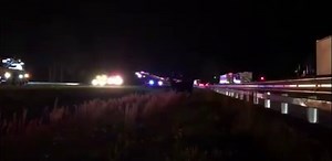 LOOSE COWS CAUSE CHAOS ON FLORIDA INTERSTATE: A portion of Interstate 10 in Walton County, Florida, was shut down Friday morning as authorities corralled livestock which had gotten lose after a semi trailer overturned, authorities with the Walton County Sheriff's Office said. STORY: https://bit.ly/2IM8GFR | FOX 35 Orlando