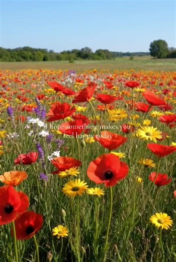 Happy Friday 🌹 #inbloom #feeling #happy #spring