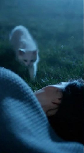 Sleeping Girl Attacked by Snake… Then THIS Happened 😳