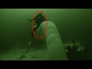 Pyrosome - Deepsea Oddities